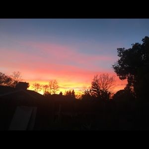 Meet your Posher, Sarina